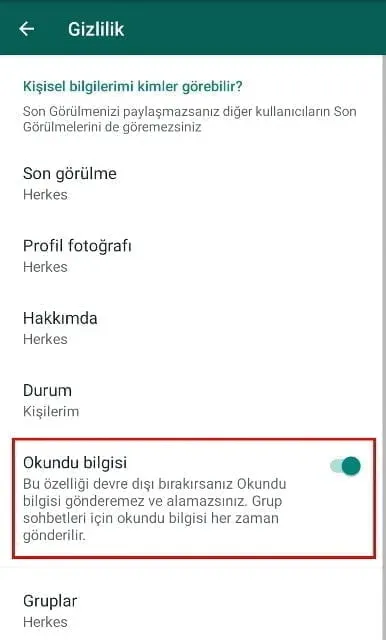 WhatsApp Üçüncü Mavi Tik Özelliği Nedir?