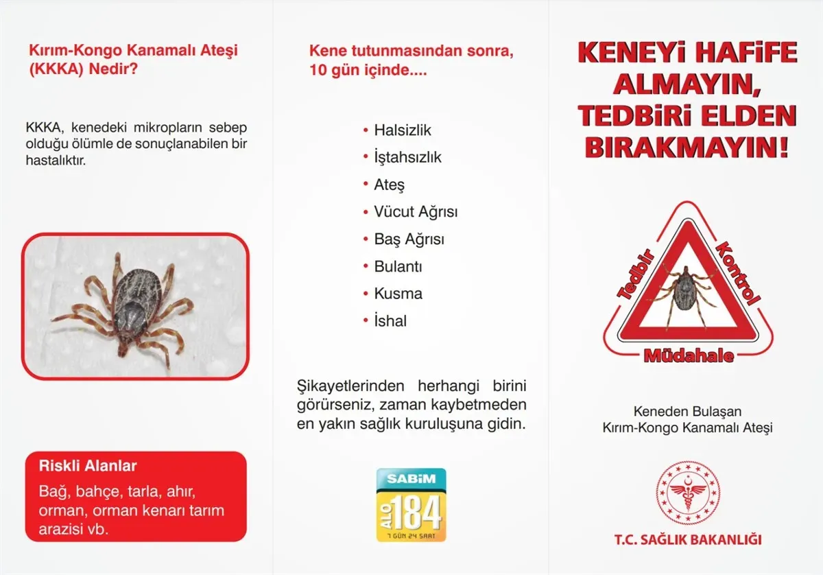 Kırım Kongo Kanamalı Ateşi: Can Kayıpları Devam Ediyor