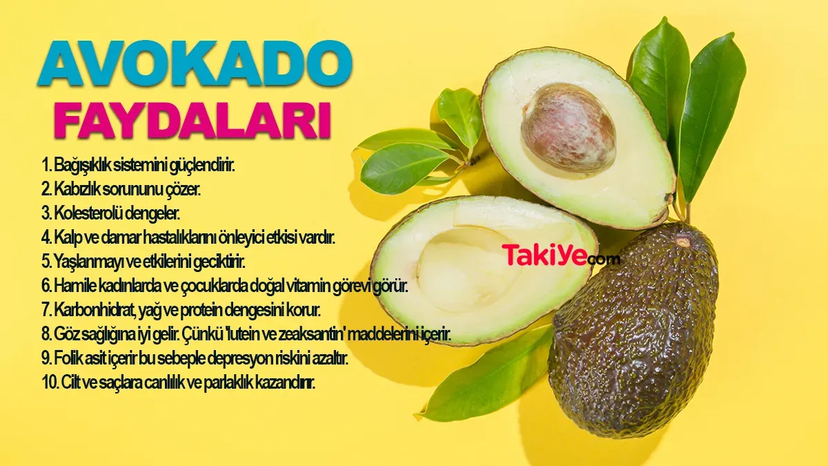 Avokado Faydaları: Sağlığınıza 3 Önemli Katkısı