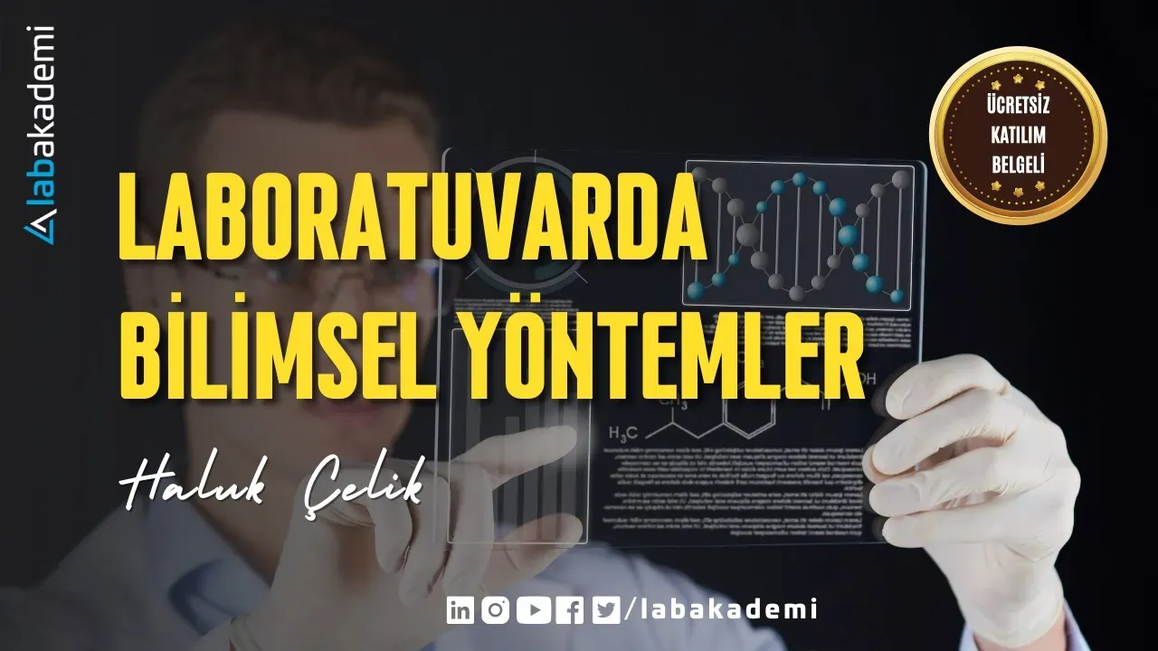 bilimsel yöntemler: hipotezden kanıta yolculuk nasıl yapılır?