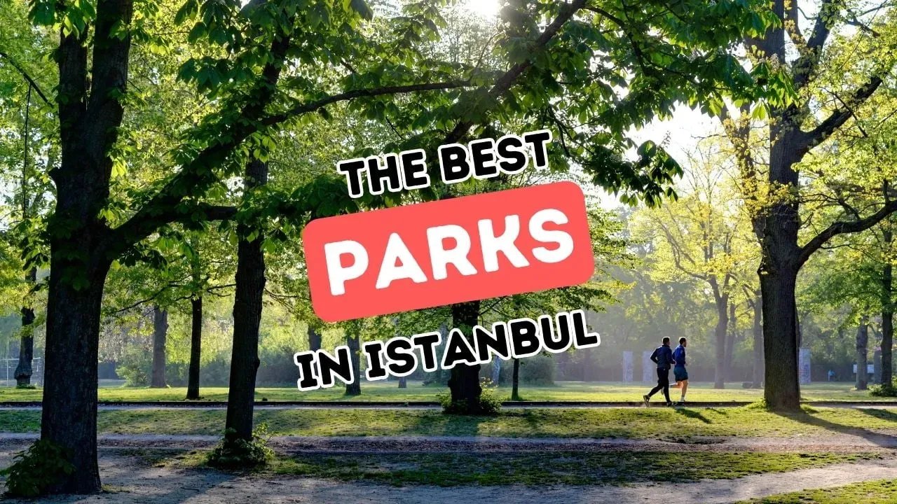 Şehrin Doğal Parklarını Keşfetmek İçin 5 Rota ve İpuçları