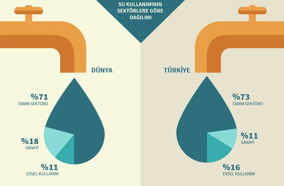Su Tüketimi: Hidrasyonun Hayatımıza Etkisi Sağlık Faydaları