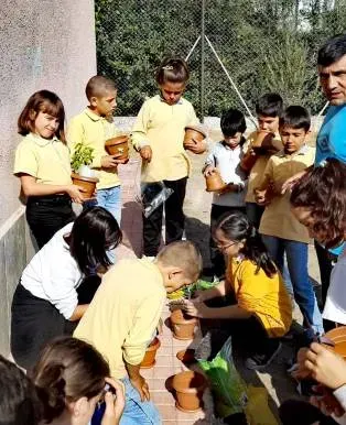 Çevre ve Doğa Eğitimi: Çocuklar İçin Öğrenme Aktiviteleri
