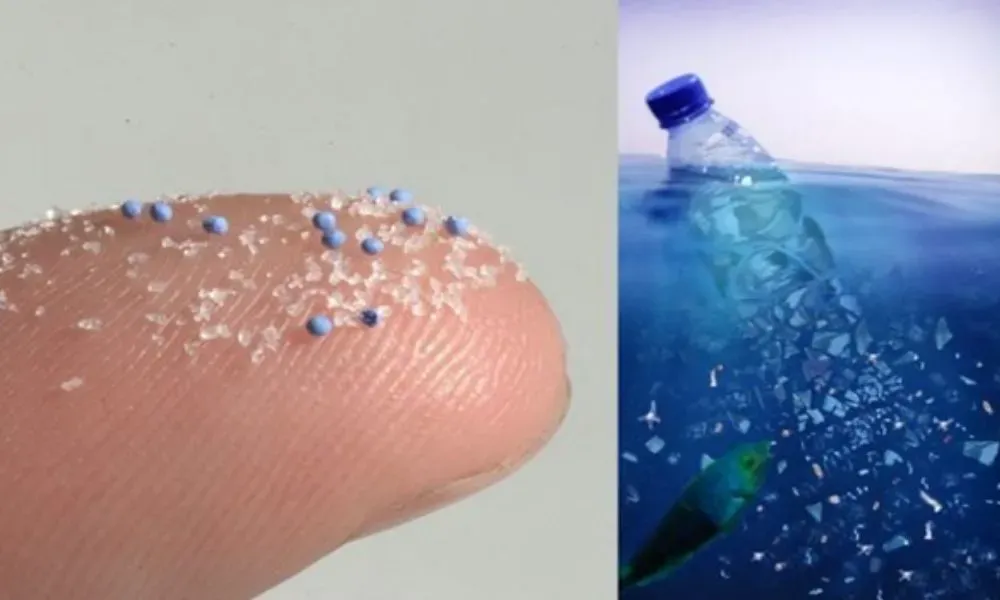 Mikroplastik ve Su Kirliliğini Anlamak için Basit Bilgiler