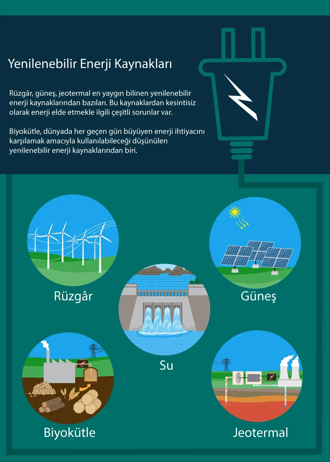 Enerji Verimliliği ve Doğa: Çevre Dostu Ev İçin İpuçları