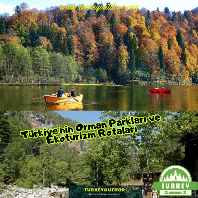 Ekoturizm Rotaları: Doğa Dostu Seyahat İçin En İyileri