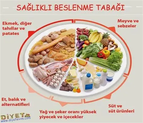 Sağlık ve Yaşam Rehberi: Beslenme, Uyku ve Egzersiz