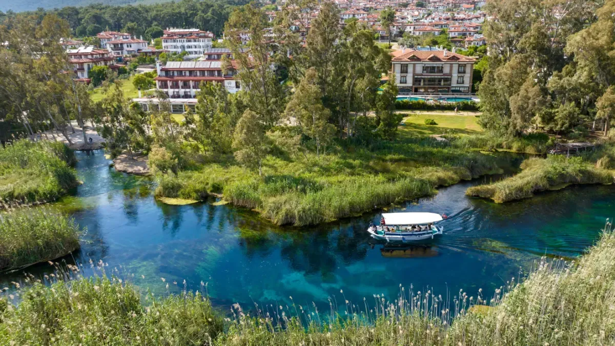Çevre ve Doğa ile Şehirde Doğa: Pratik Yaşam İpuçları