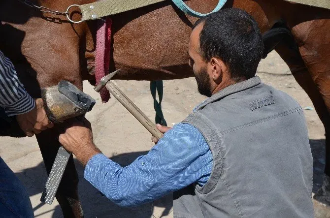 Nalbantlık Mesleği: Hüseyin Polat’ın Öyküsü