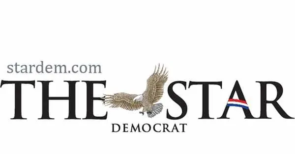 Sports News: Breaking Updates, Live Scores & Insights