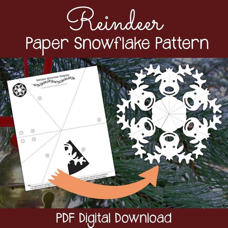 Reindeer And Snowflake Designs For Festive Cheer