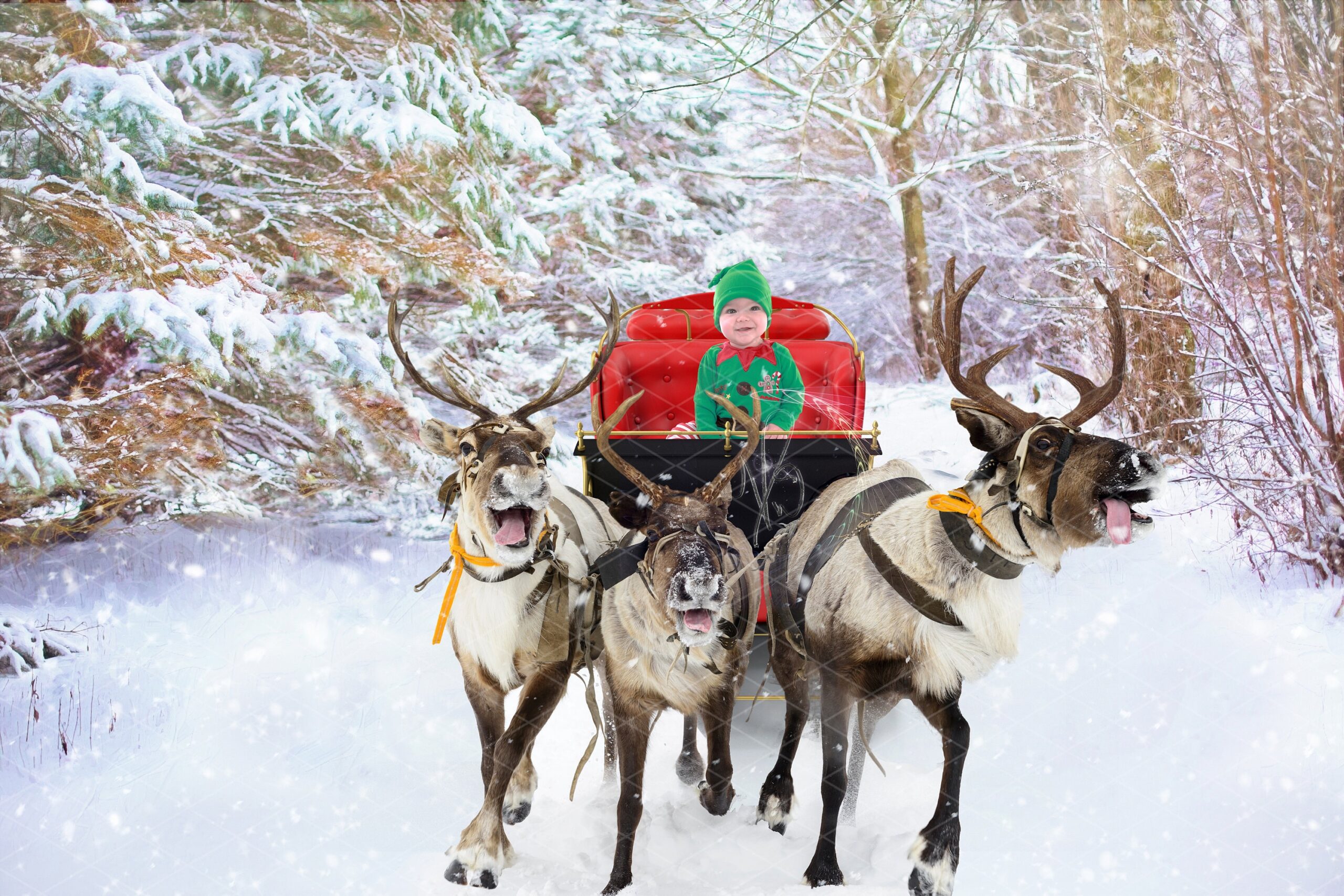 Reindeer Sleigh Ride And Snowy Landscape Designs