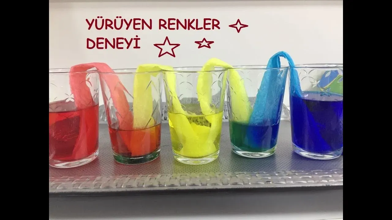 Evde Yenilikçi Projeler ve Deneyler: Teknolojiyle Keşifler