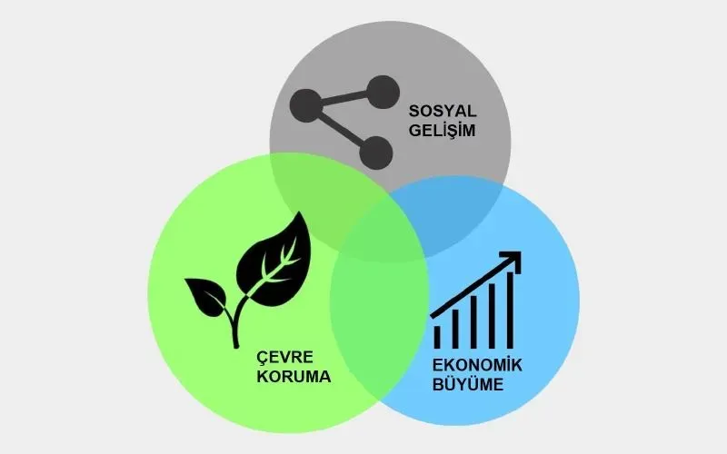 Çevre ve Doğa ile Sürdürülebilir Beslenme: Eko Yaşam İpuçları