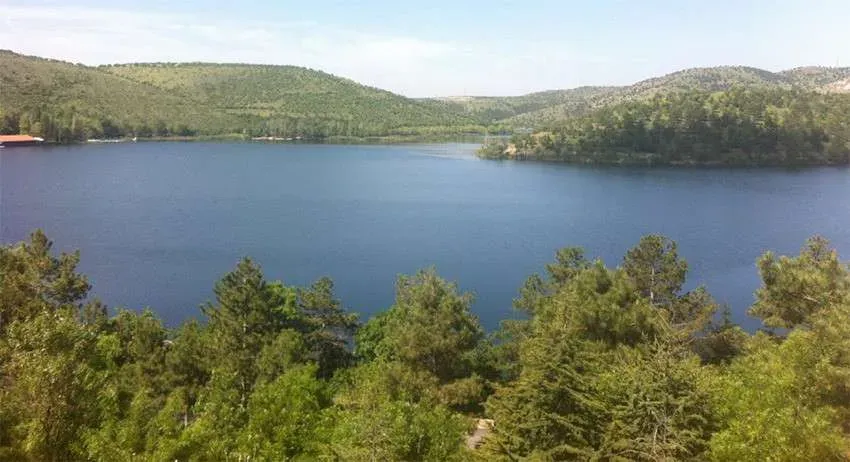 Doğal Alanlar: Şehir Hayatında Çevre ile Bağlantı