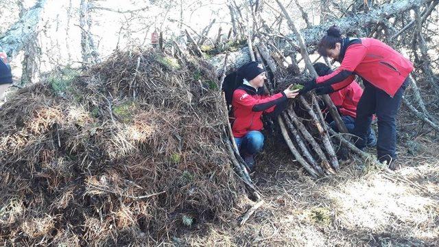 Doğada Hayatta Kalma Rehberi: Temel Bilgiler Ve Taktikler