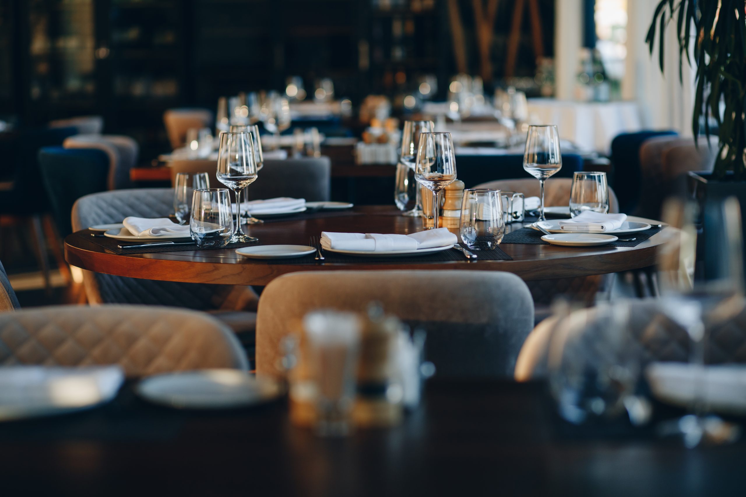 Lezzetin Sanata Dönüştüğü Nokta: Gurme Restoran Rehberi