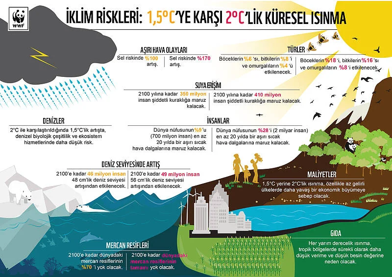 Yeni İklim Raporu: Küresel Isınmanın Türkiye Üzerindeki Beklenen Etkileri