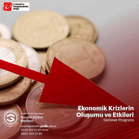 Dünya Genelinde Ekonomik Krizlerin Ülkeler Üzerindeki Etkileri