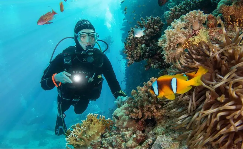 Mısır Dalış Turizmi: Sharm El Sheikh'in Güzellikleri
