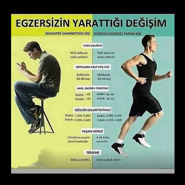 Egzersizin Faydaları Ve Günlük Hayata Entegrasyonu