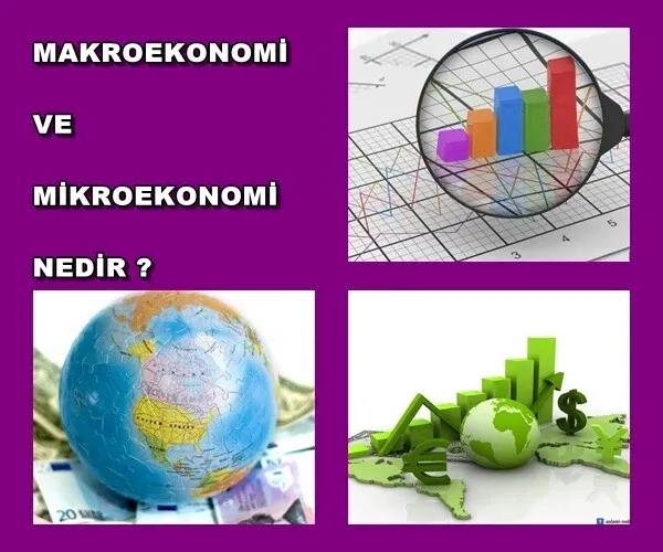 Mikroekonomi ve Makroekonomi: Farklar ve Uygulamalar
