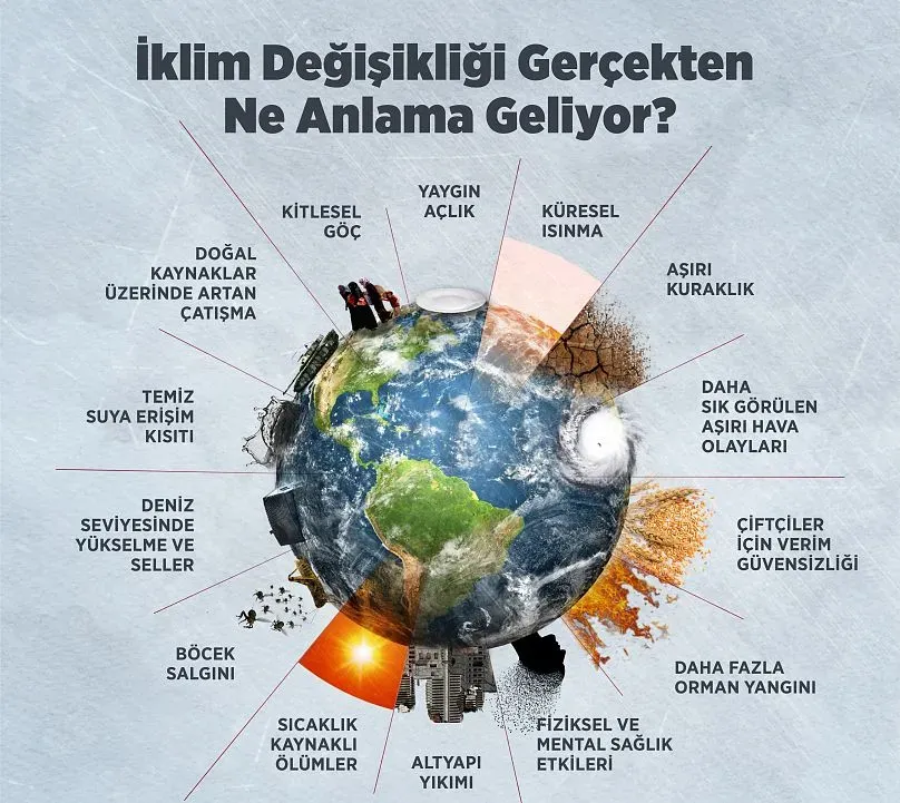 Politikanın Günlük Hayatta Etkisi: Politikalar ve Günlük Kararlar