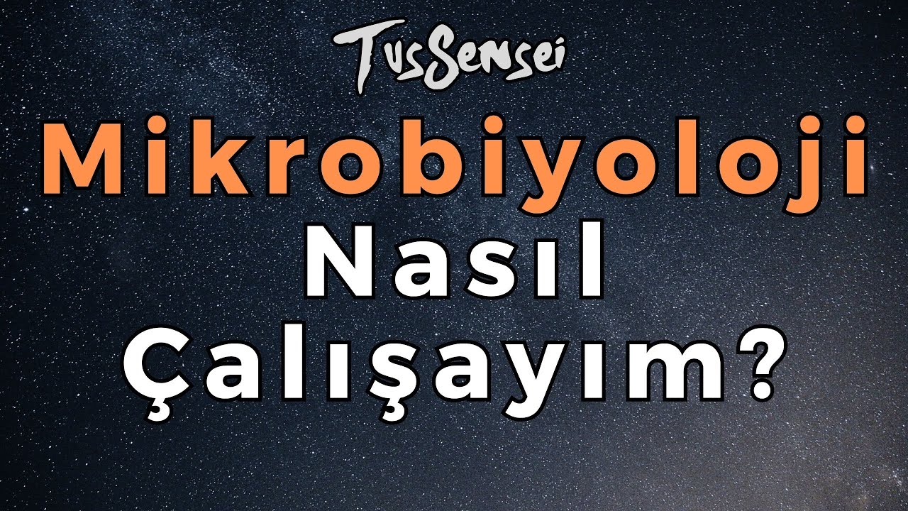 Mikrobiyom Araştırmaları Sağlığın Şifrelerini Çözüyor