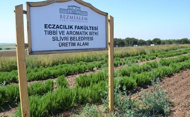 Türkiye’de İlaç Sanayisi