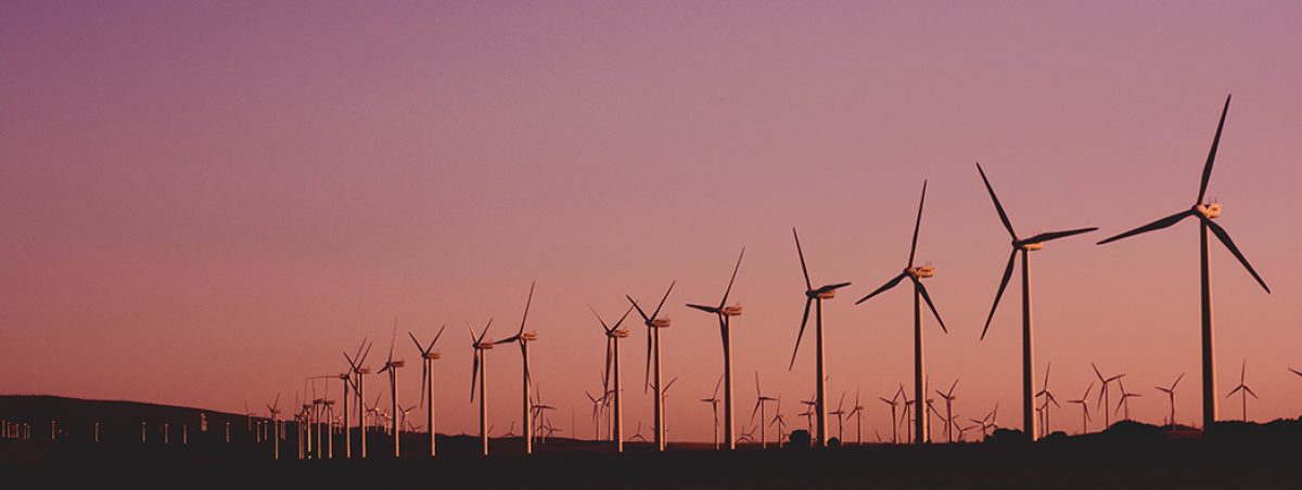 Yenilenebilir Enerjinin Doğa Üzerindeki Etkileri