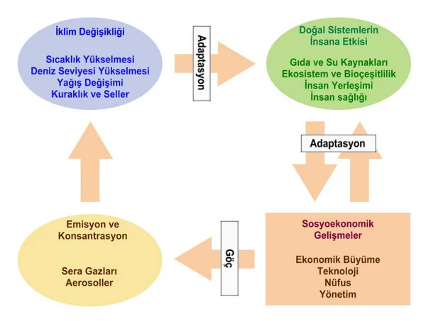 İklim Mültecileri: Küresel Isınmanın İnsanlar Üzerindeki Sosyal Etkileri