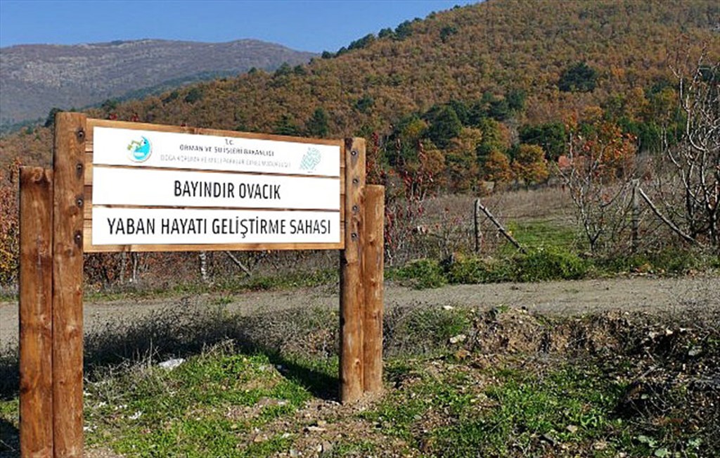Yaban Hayatı Koruma Alanları: Türkiye’nin Yeni Doğa Projeleri