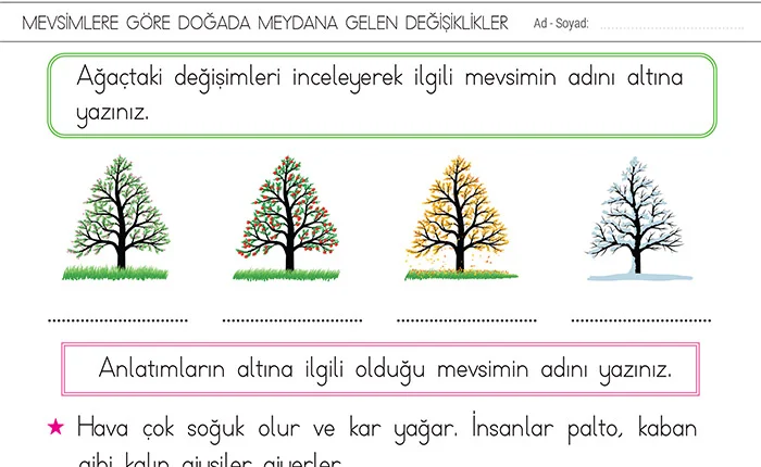 Mevsimlere Göre Doğada Aktivite Rehberi: Kıştan Yaz’a Doğa İle Zaman Geçirme Fikirleri