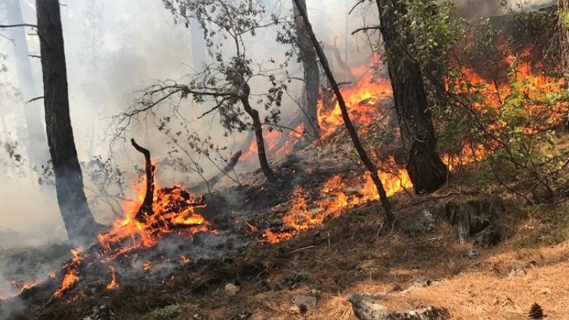 Antalya’da Orman Yangınlarına Karşı Yeni İtfaiye Teknolojisi