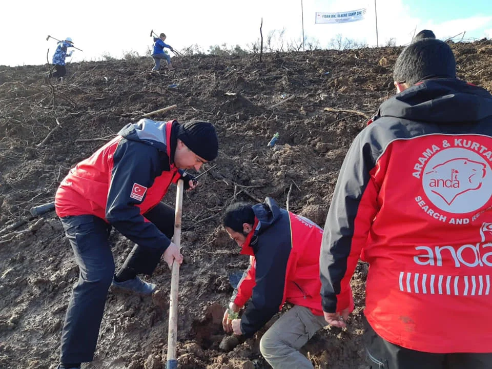 Yeniden Ağaçlandırma Projeleri: Doğa Severlerin Katkıları ve Başarılar