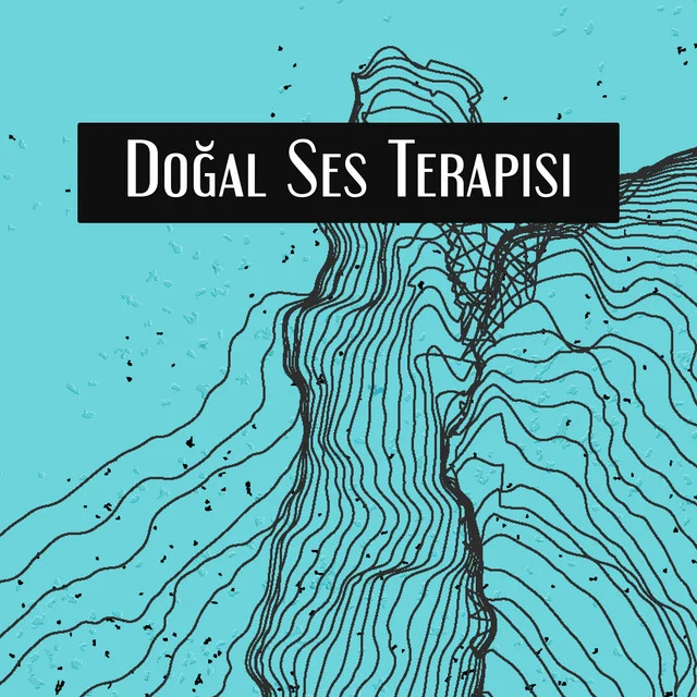 Doğanın Sesleri: Hangi Doğal Sesler Stresi Azaltır ve Sakinleştirir?