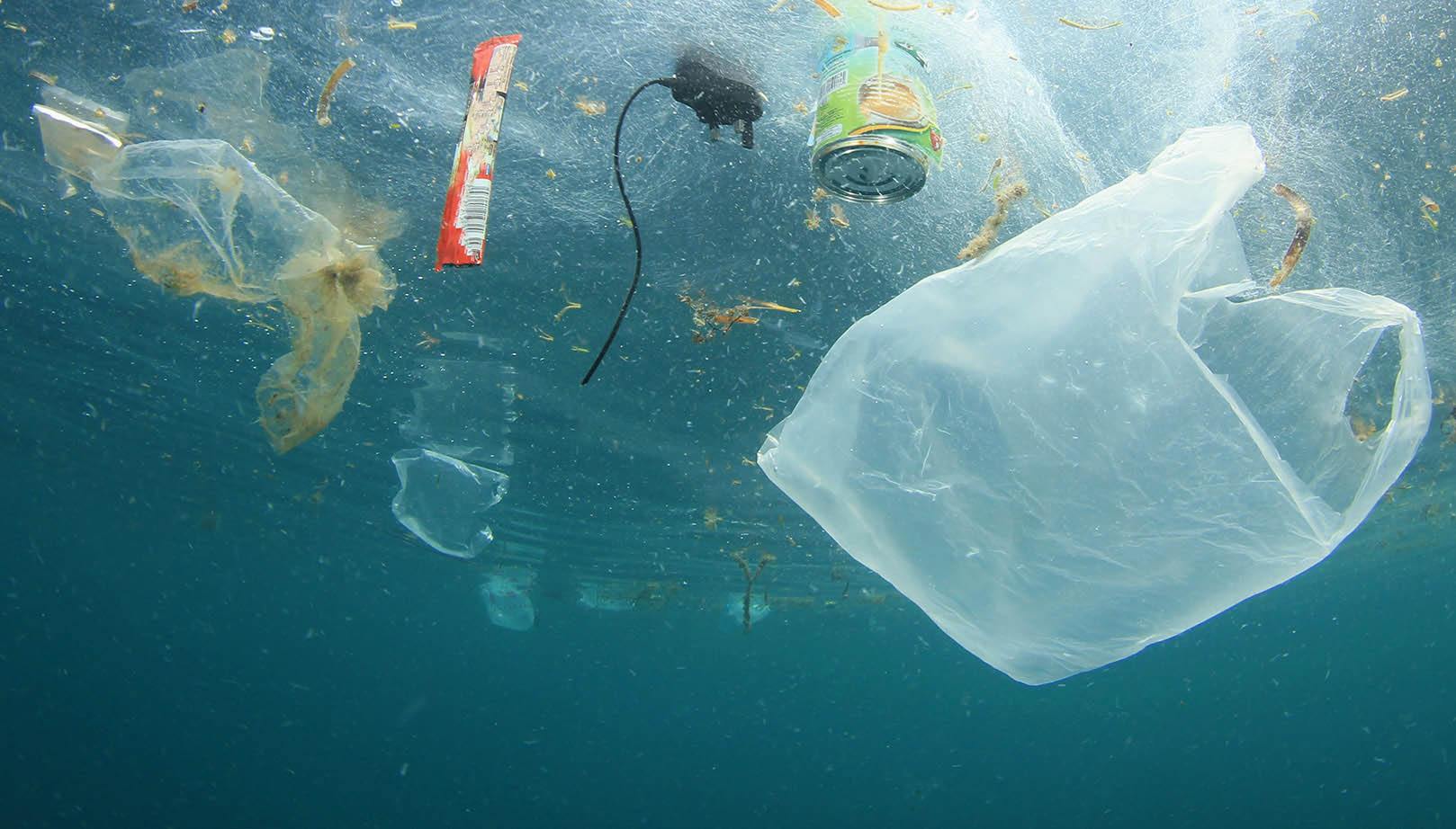 Denizlerde Plastik Kirliliği Rekor Seviyeye Ulaştı
