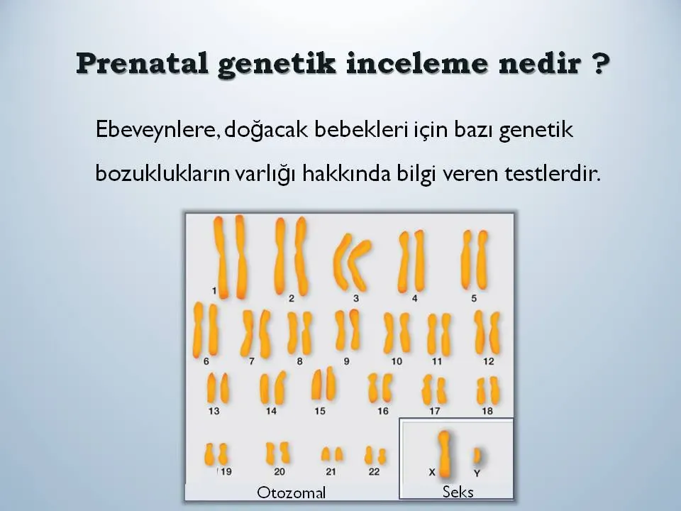 Gebelikte Genetik Bozukluk Taraması: Erken Belirleme İmkanları