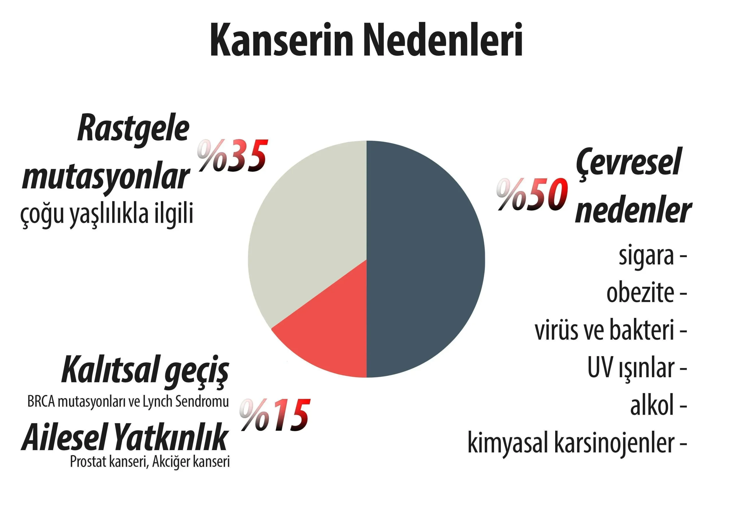 Kanser Riski: Obezite ve Ergen Sağlığı Üzerine Uyarılar