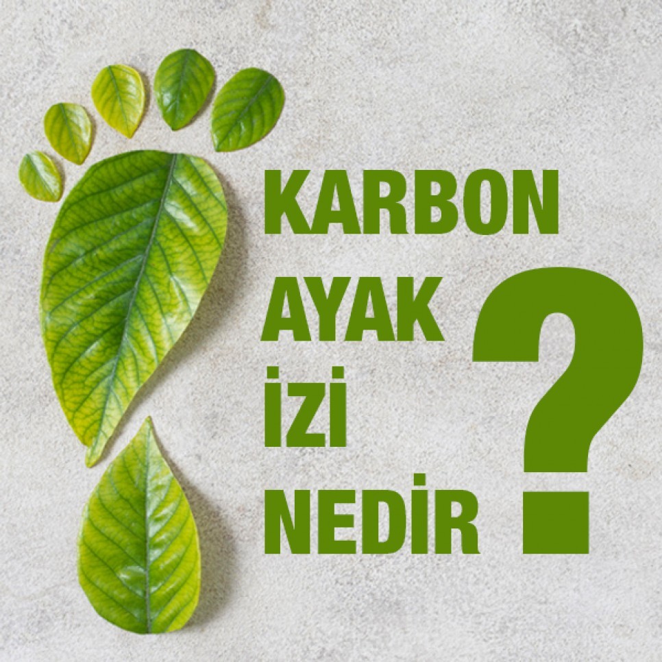 Karbon Ayak İzimizi Azaltmanın Yolları Ve Önemi