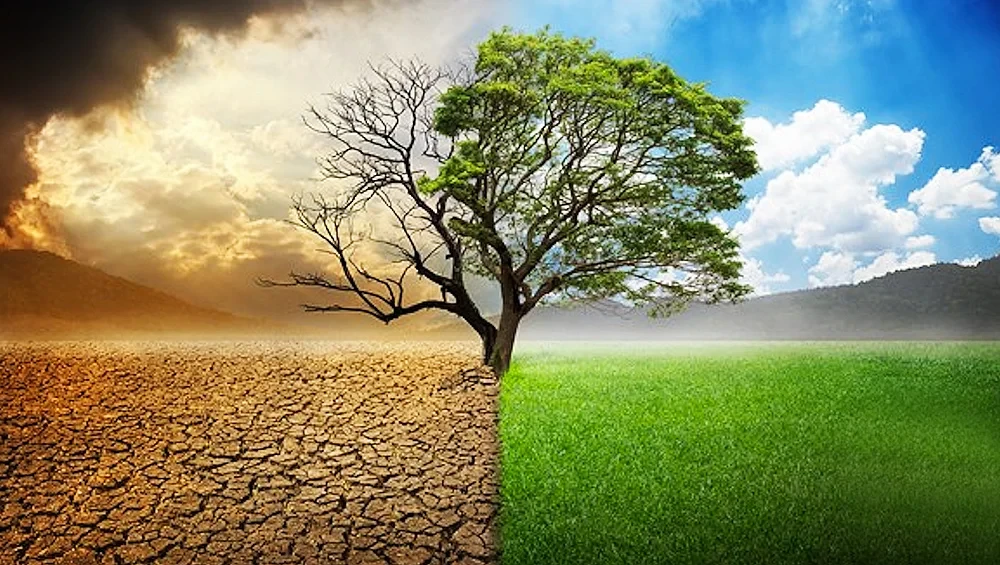 Küresel Isınma Nedir ve Neden Önemlidir?