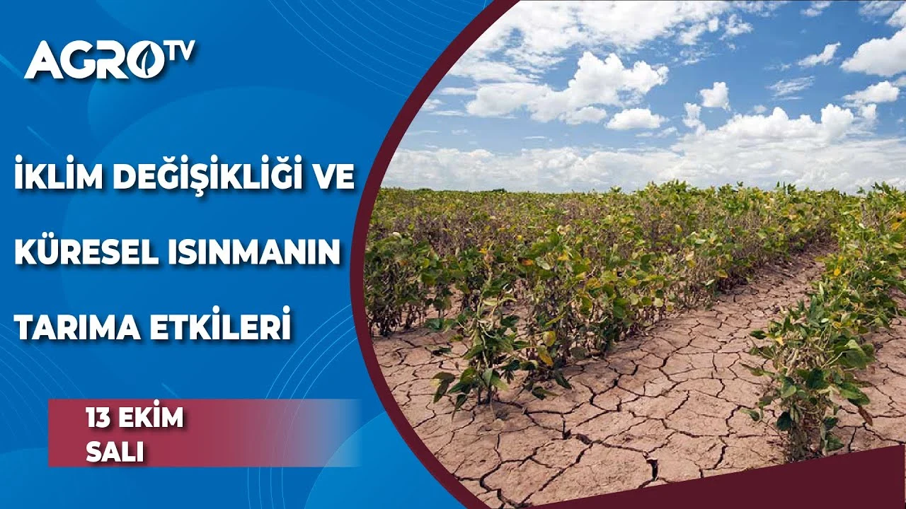 İklim Değişikliği ve Tarım: Küresel Isınma Gıda Güvenliğini Nasıl Tehdit Ediyor?