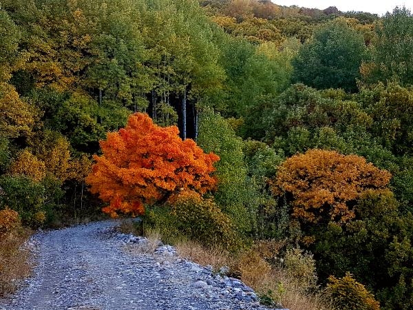 Munzur Vadisi’nde Eşsiz Sonbahar Fotoğraf Turları Başladı