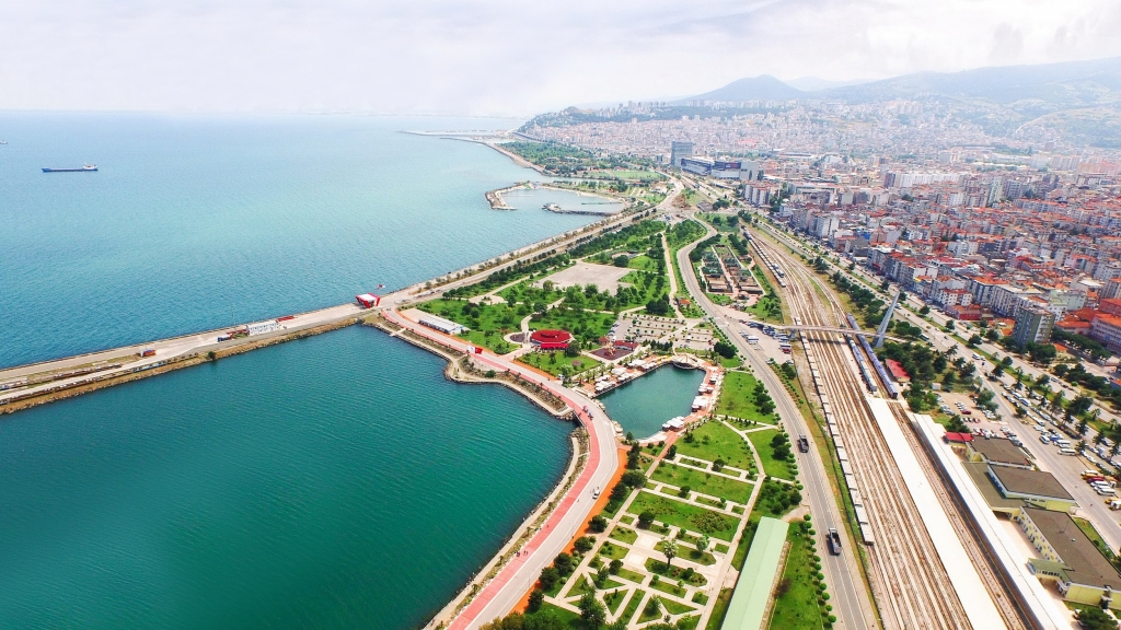 İklim Krizine Karşı Türkiye’nin Ağaçlandırma Stratejileri