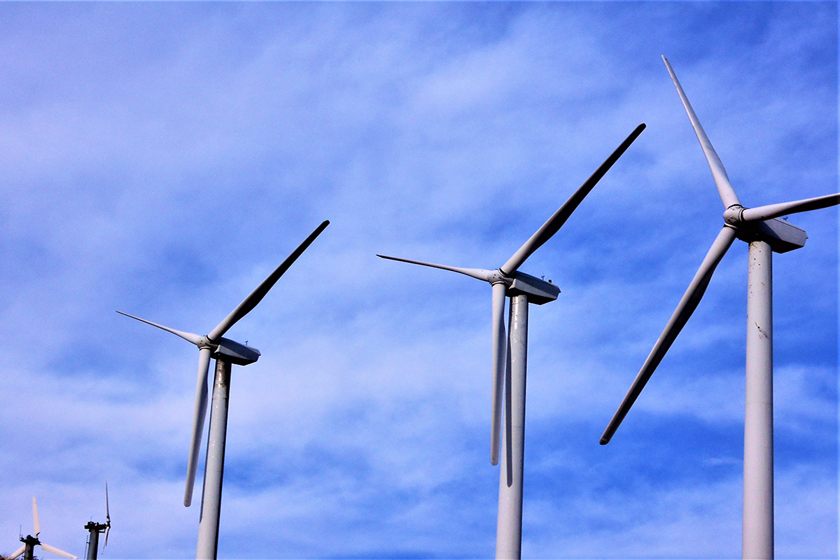 Yenilenebilir Enerji Yatırımları