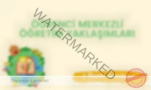 Öğrenci Merkezli Eğitim Yaklaşımları: Katılım Stratejileri