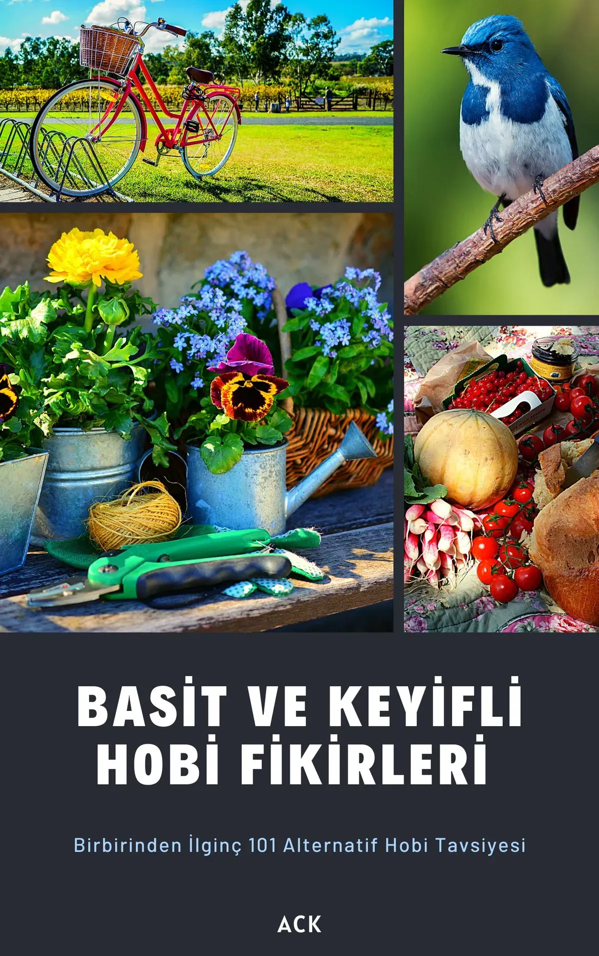 Yaşamı Doyuran Hobi Fikirleri: Neşeyi Artıran 10 Aktivite