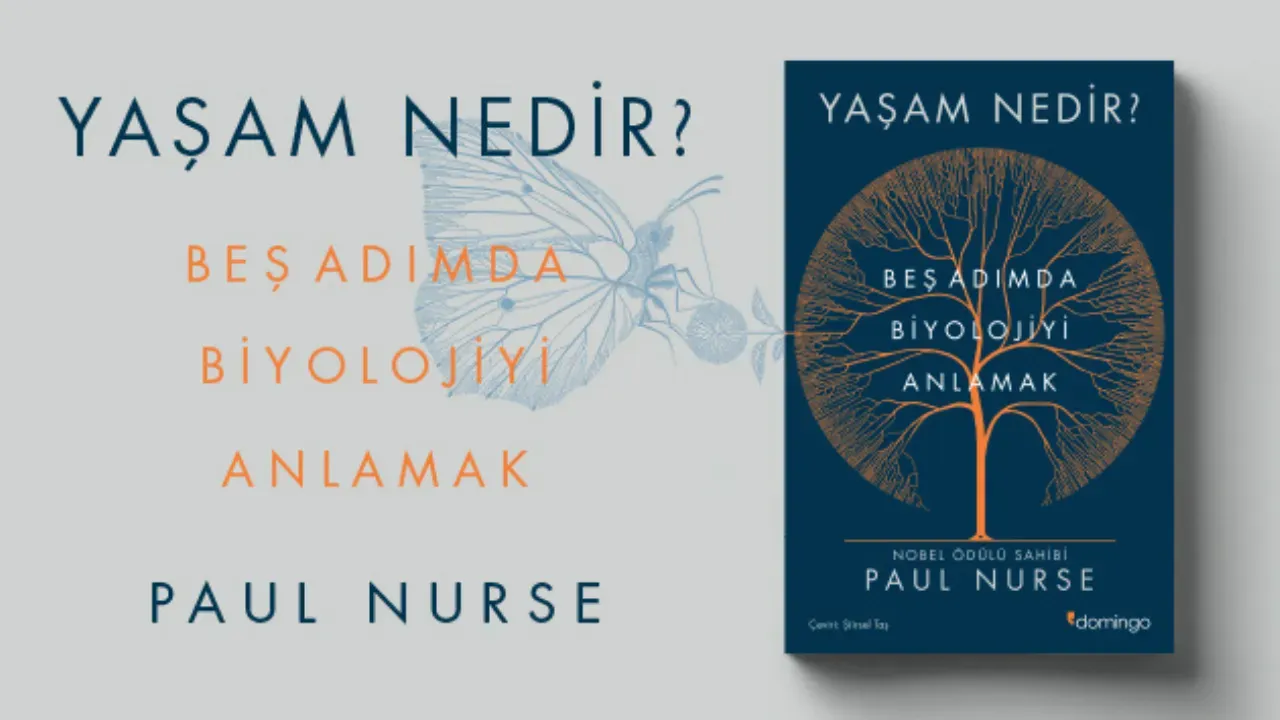 Yaşam Nedir: Günlük Mutluluk ve Verimlilik İçin Stratejiler