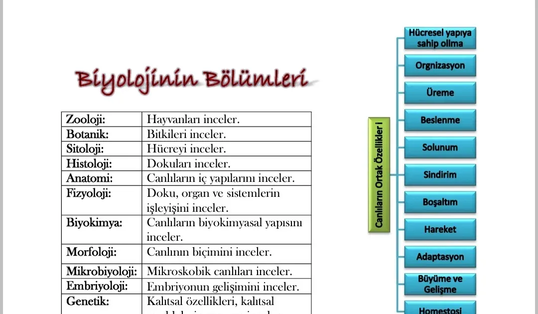 Biyolojiye Giriş: Canlılar ve Yaşamın Temelleri Evrimi