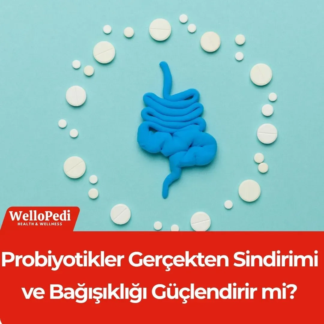 Probiyotikler ve Liflerle Sindirimi Destekleyin: Rehber